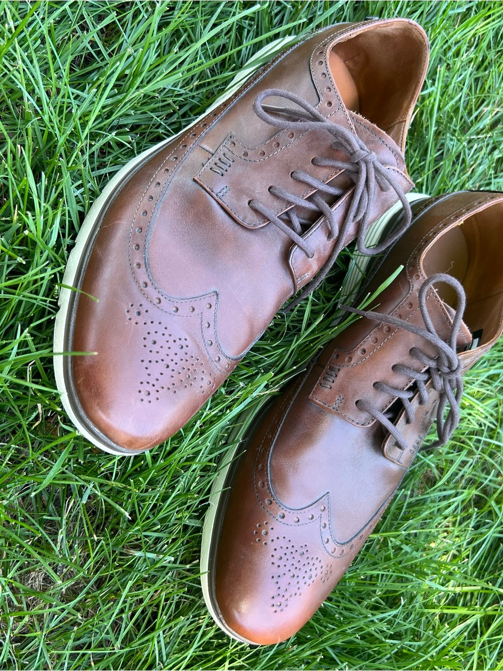 Timberland Defender Wingtip Sneaker - LIKE NEW - Picture 8 of 8